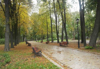 Міський сад