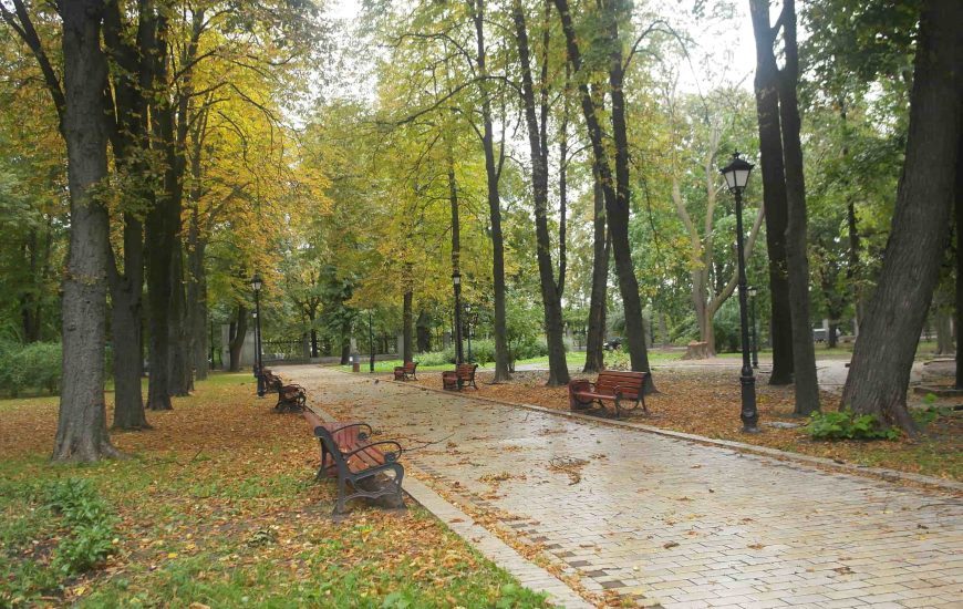 Міський сад