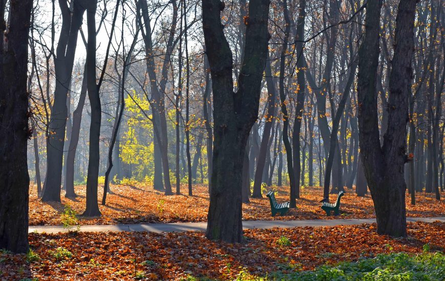 Парк імені Івана Багряного у Києві
