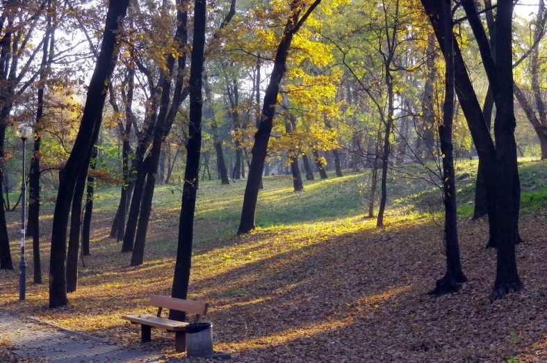 Осіння природа парку КПІ