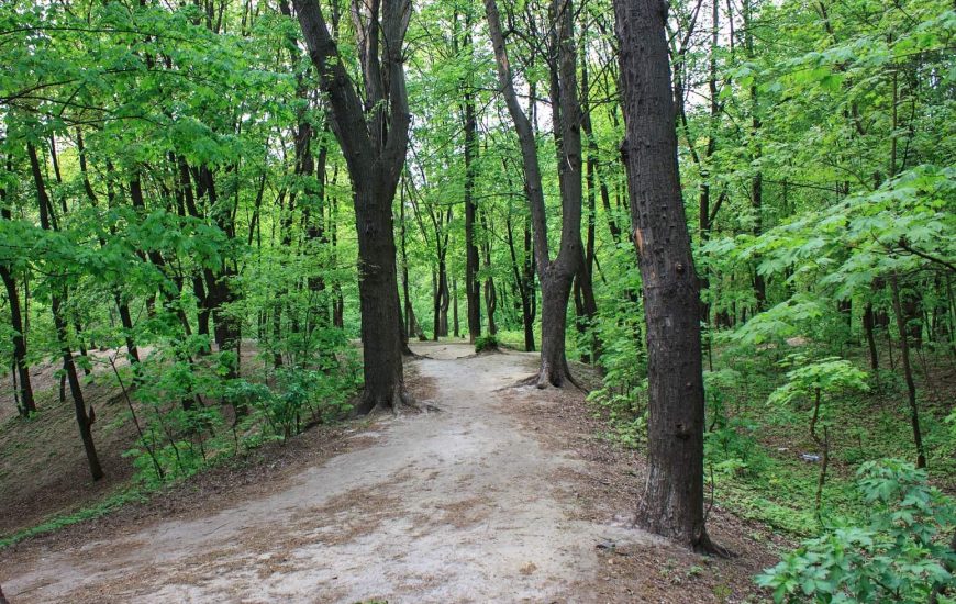 Сирецький парк