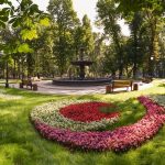 Київ стає зеленішим: як змінилися парки та природні території за 10 років